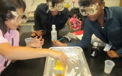 Project Exploration In the New Year