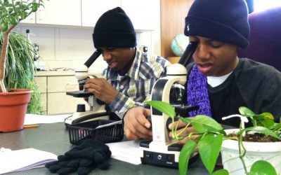 Winter Science Exploration