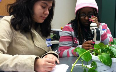 Knowledge Sharing Session