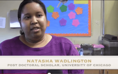 Project Exploration News Myth Busters- Brain