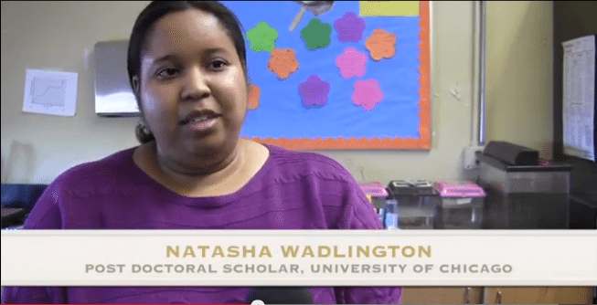 Project Exploration News Myth Busters- Brain