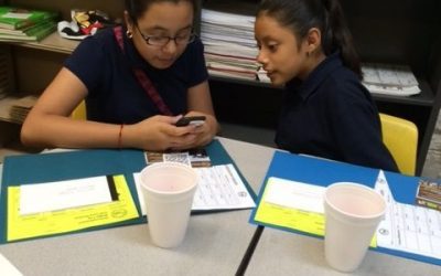 A Minty Fresh Survey Day!