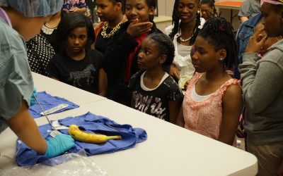 S4S Reflection of Knowledge – Spring 2015