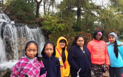 Nature and Its Beauty