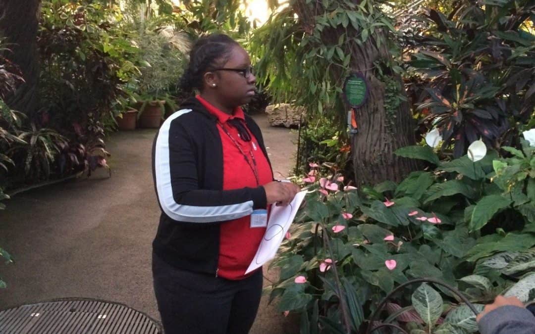 Lions and Tigers and Bears, Oh My! Science Giants’ day at Brookfield Zoo.