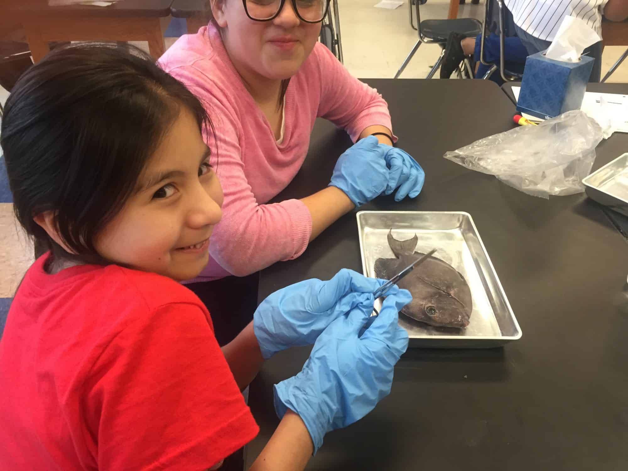 Orozco - Fish dissection