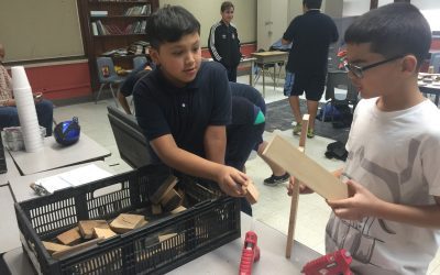 Professional Athlete