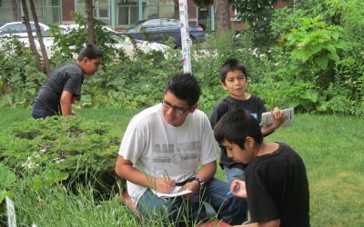 Who’s responsible?