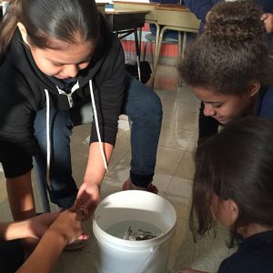 Sisters4Science - Fundston 3
