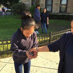 Sisters4Science - Fundston 1