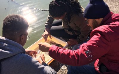 Environmental Adventures – Water, Wishes, and Wildlife!
