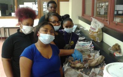 Groundhog Day Predicts….10 More Weeks of SCIENCE!