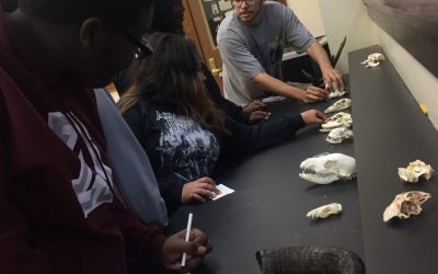 Environmental Adventures: A Natural Selection!