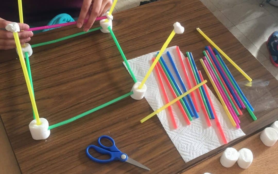 Brothers4Science: Engineers in the Making