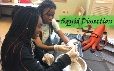 Sisters4Science – Ariel: It’s a Cephalo-party at Sisters4Science