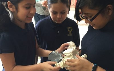 Sisters4Science – Funston: What Happens During a Heart Attack?