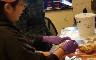 Forensic Investigators: Northwestern Trip