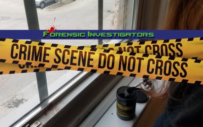 Forensic Investigators: Mock Crime Scene Showcase