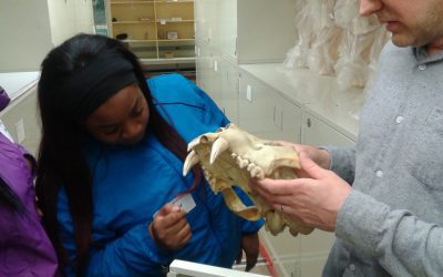 Environmental Adventures: Cutting into a Shark, Field Trips, and Reflection