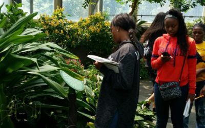 Science Giants: Bringing it to Life