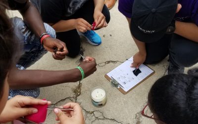 Forensic Investigators: Trace Evidence: Hair, Fiber, DNA, Fingerprints oh my!