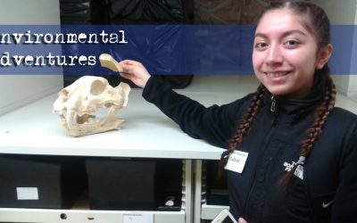 Environmental Adventures: Introductions