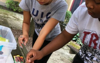 Environmental Adventures: Program Wrap-up