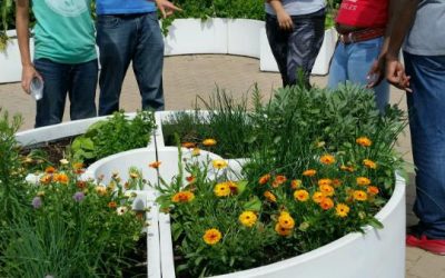 Science Giants: Only The Beginning