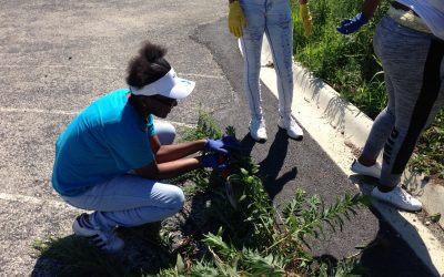 Environmental Adventures: Fifth Week of Programming!