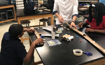 Brothers4Science: The Marble Rat Race