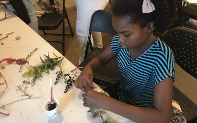 Sisters4Science – Funston: Fun with Colors!