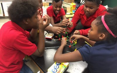 Sisters4Science – Woodson: Exhibiting Tenacity & Vibrancy