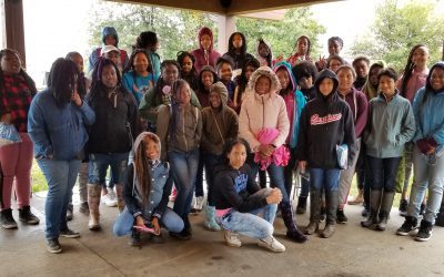 Partnerships Matter, in STEM Education!