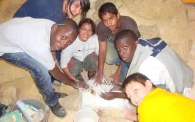 Twenty Years of Changing the Face of Science