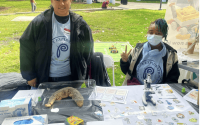 Activities at South Side Science Festival