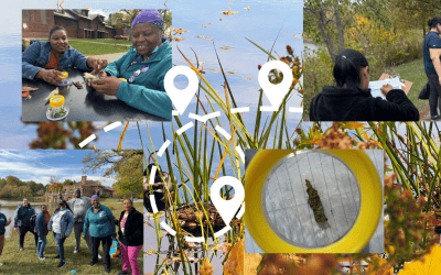 Parent STEM Academy: Curiosity and Stewardship for Nature