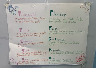 A paleontology poster is displayed on a wall showing English and Spanish descriptions of key terms.